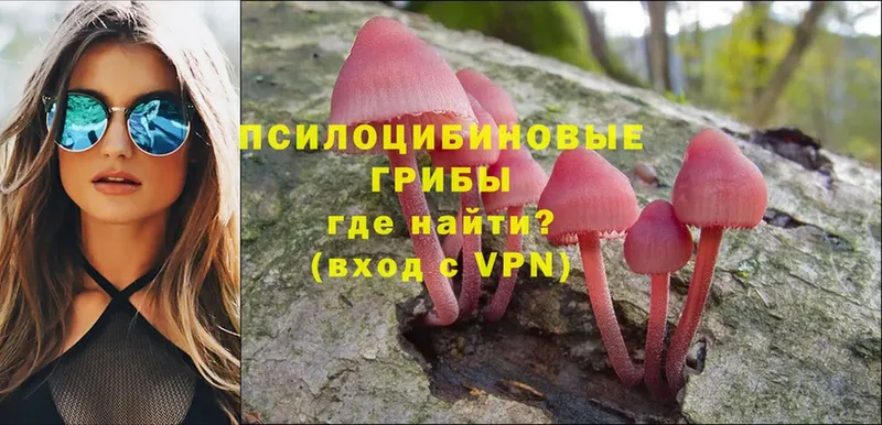 Псилоцибиновые грибы Magic Shrooms  купить наркоту  Карабаново 